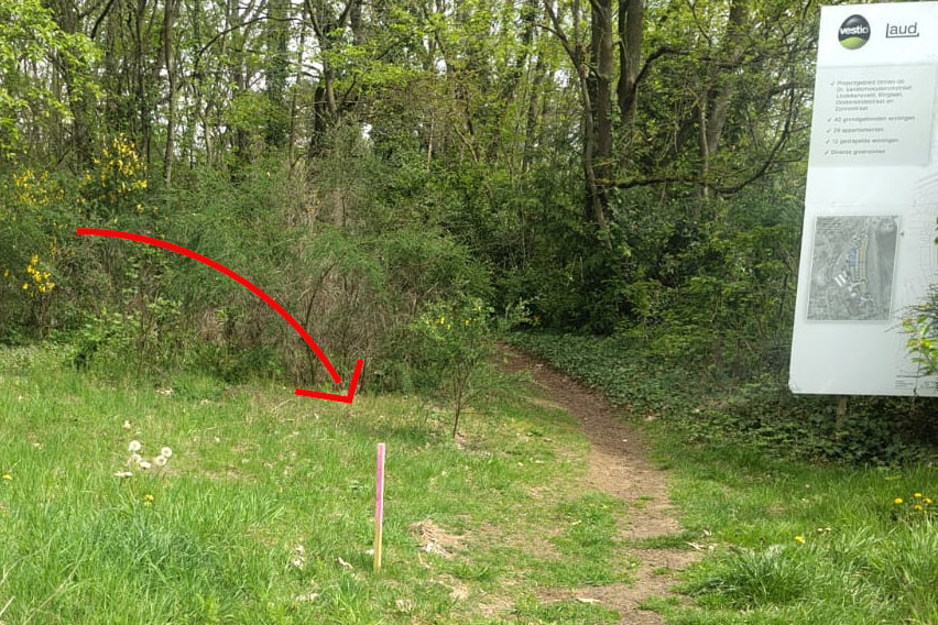 Paaltjes op het lindekensveld